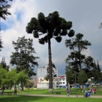 Quito 2012 - 41.jpg