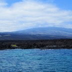 Galapagos 2012 - 1.jpg