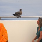 Galapagos 2012 - 16.jpg