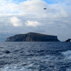 Galapagos 2012 - 20.jpg