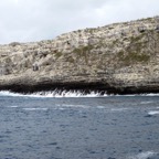 Galapagos 2012 - 30.jpg