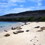 Galapagos 2012 - 105.jpg