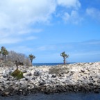 Galapagos 2012 - 109.jpg